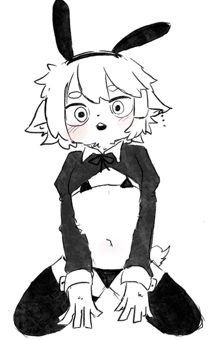 #バニーの日 バニーの日という事で再掲を…