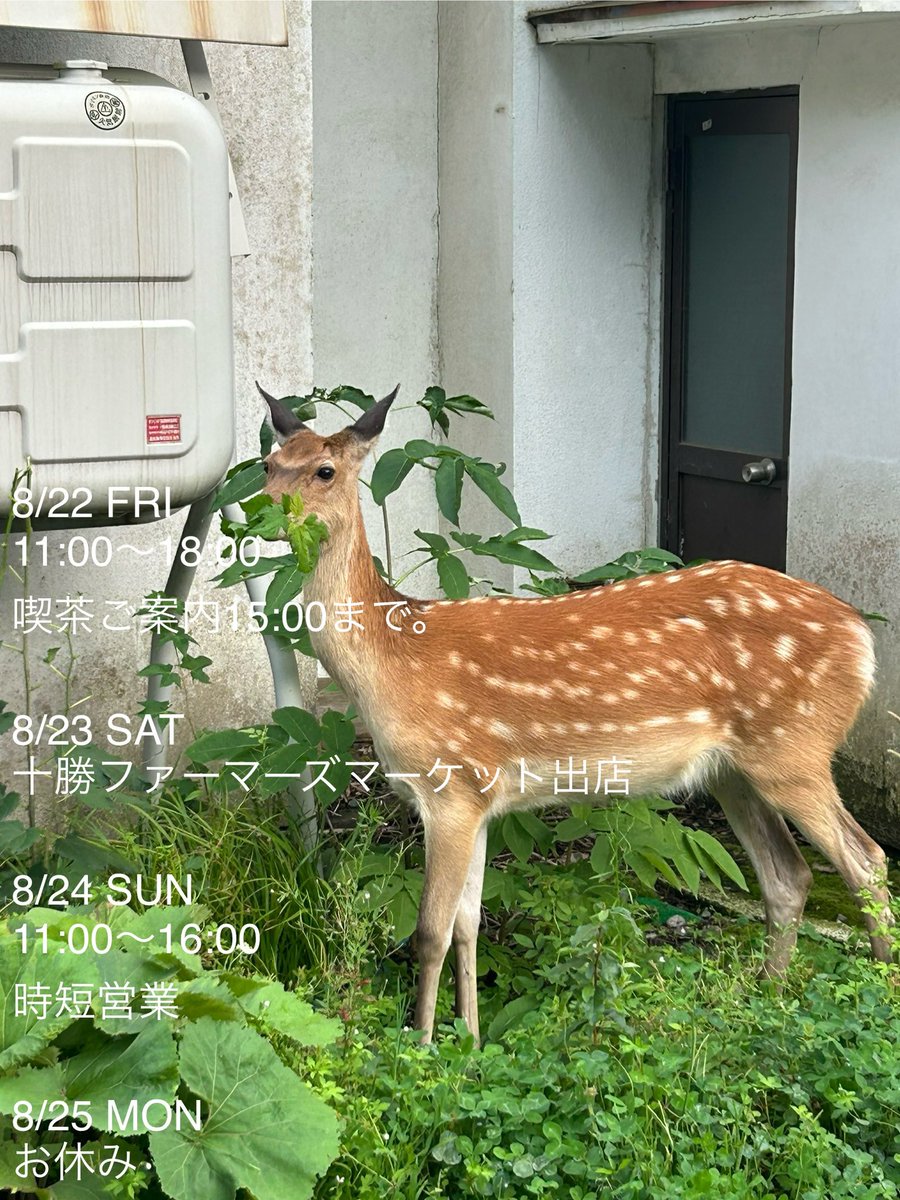 itosince2014's tweet photo. https://t.co/xoKSGuz5mp