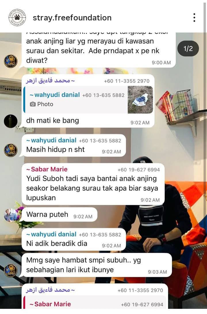 Orang surau kat Tangkak mengaku dalam group wassap, bunuh satu family anjing dengan anak dia sekali. 
Bodoh nak mampus!!!!
Buat malu orang tangkak je. Pergi surau tapi hati macam syaitan!
Tak pernah tahu ke, dalam islam ajar mengasihi sesama makhluk dan jangan aniaya haiwan?!