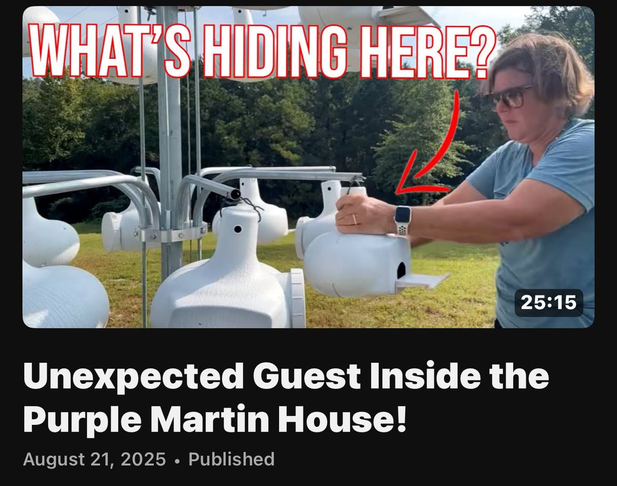 All new fun episode: youtu.be/vVlRwr25J0Q