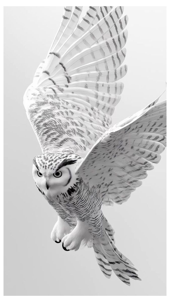 Aestheticsn1's tweet photo. Premium White Wallpaper 🤍📌
      (Like, repost, follow)

#wallpaper #white https://t.co/1bobTG4Bqj