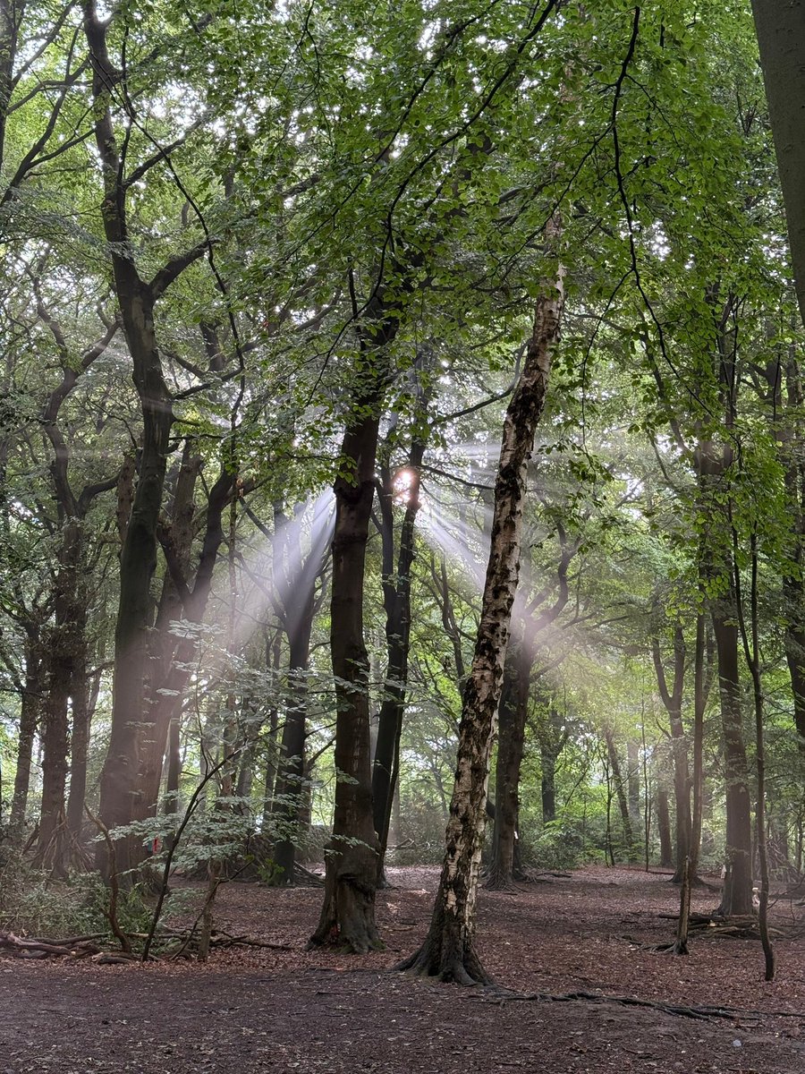 pixleycreator's tweet photo. An early morning walk in England, remembering that the same sun warming the earth also burns quietly within us. https://t.co/t0ZUHbUt0z