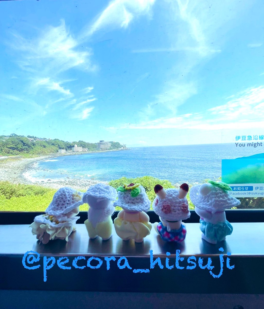 わぁ〜〜〜🌊🏖️☀️✨