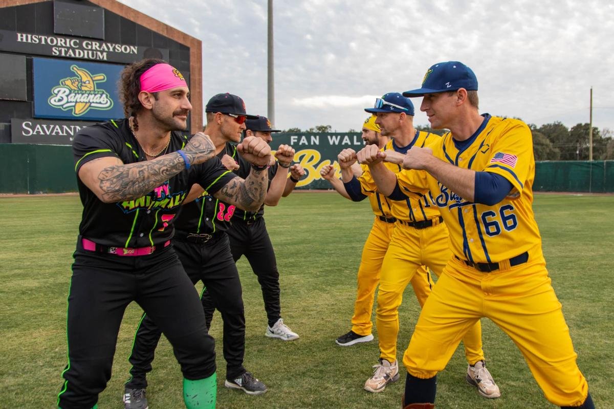 Profluence Sports tweet media