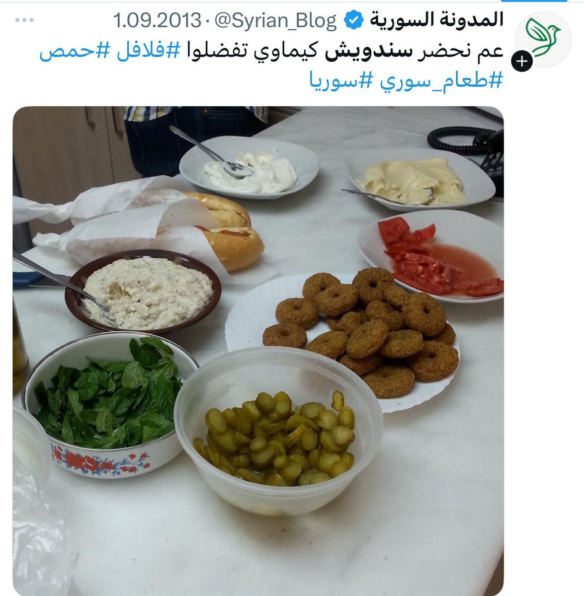 جميعهم يدخلون بثياب الثورة.. احذروهم