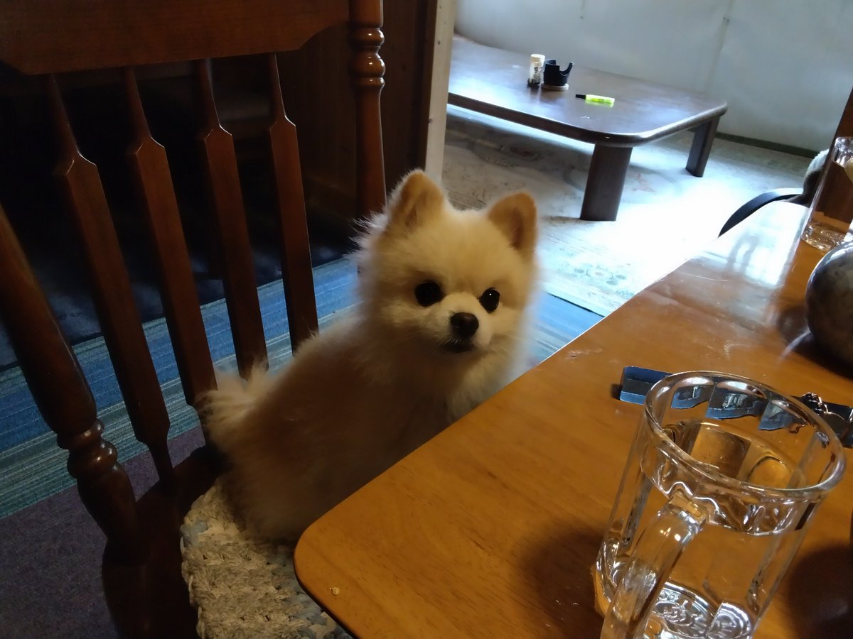 ペットの露天風呂平湯温泉ひらの森、とてもよいお湯でした源泉かけ流し純温泉とのこと。ぬるま湯もあって長時間長湯できる感じ😄👌また行きたい♨