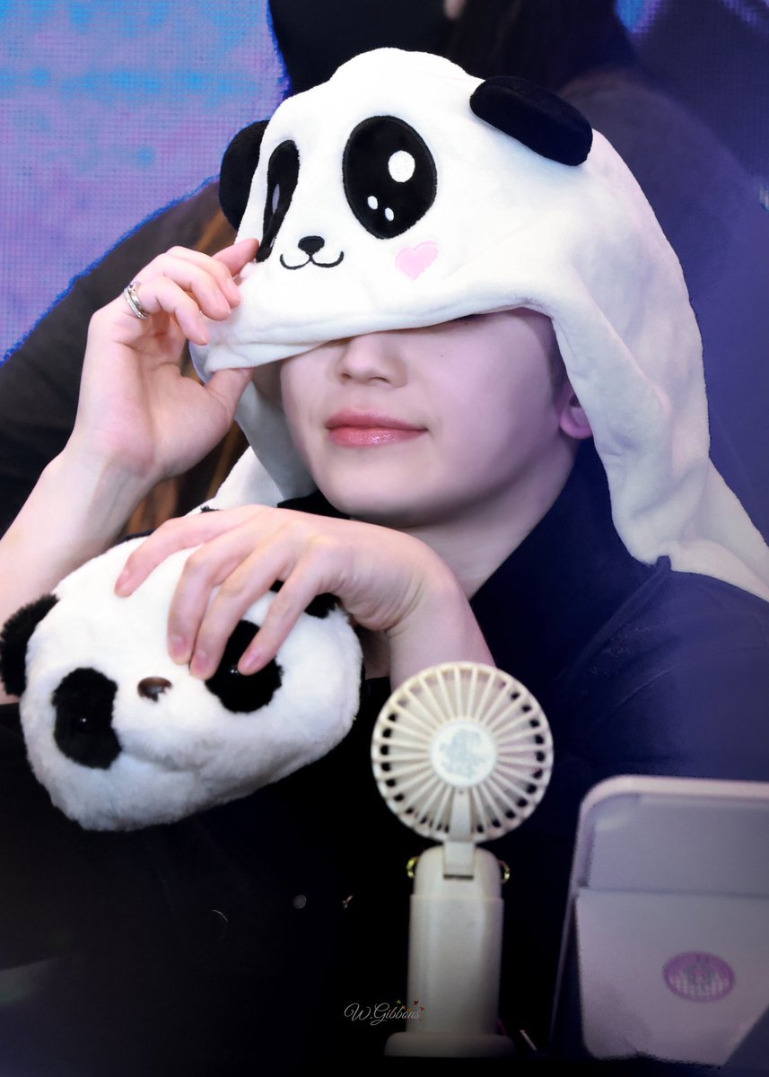 pocketwz's tweet photo. woozi? ❌
🐼? ✅ https://t.co/x77HFzcBL8