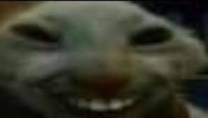 messiolo15's tweet photo. @Elmiillor Podrías decir que apadrinaste a una africana y que eres buena persona, seguro que te ven como el bueno https://t.co/xJ9HeDjL2v