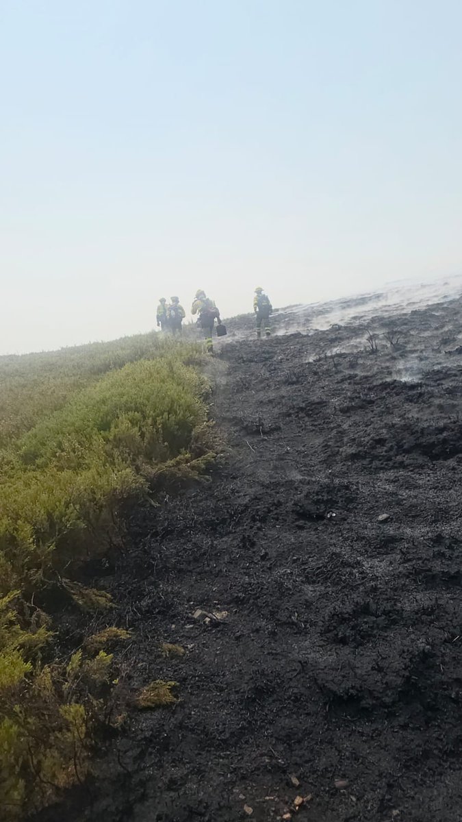 AT_Brif's tweet photo. 12:30📸#IFChandrexaVilariño #Ourense 

@BrifPuntagorda ha trabajado en este incendio por tercer día consecutivo y ahora les mueven para otro en #IFAPonteAVeiga #Ourense. https://t.co/8aXfyTKz6l