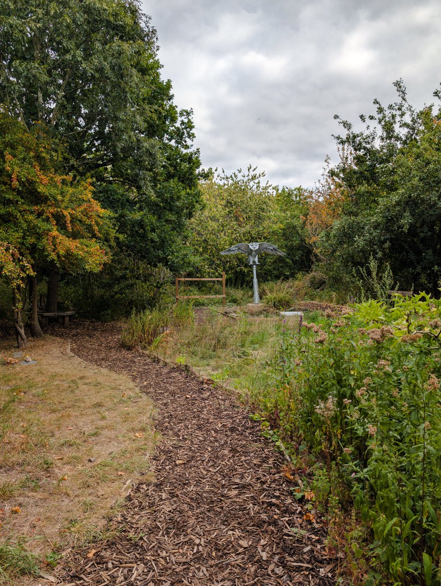 Happy Friday 🌥💚️ How are you going to spend time in nature this weekend?