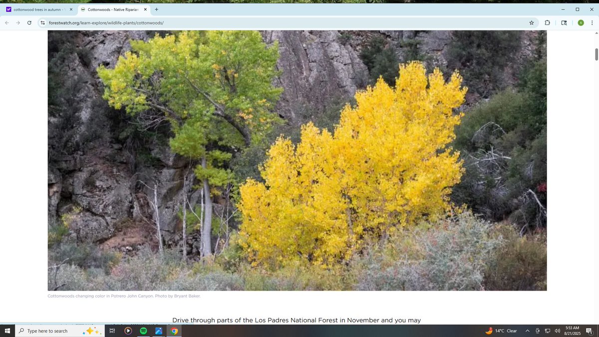 Steve Nye (@steveny00177589) on Twitter photo maybe Paris in Autumn jike like this screen shot? <a href="/HannahWoolmer/">Hannah Woolmer</a> on <a href="/LoungesTv/">Lounges.tv</a> or using the same idea but you being outside. Showing the fall color? maybe Paris in Autumn jike like this screen shot? <a href="/HannahWoolmer/">Hannah Woolmer</a> on <a href="/LoungesTv/">Lounges.tv</a> or using the same idea but you being outside. Showing the fall color?