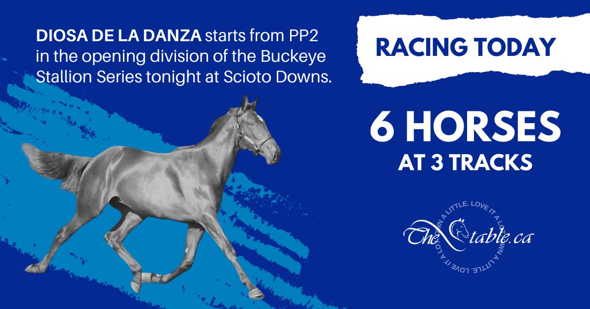 A six-pack of starters for tonight racing at Red Shores Charlottetown, The Meadows and Scioto Downs:

thestable.ca/upcoming-races/

#ownalittleloveitalot
