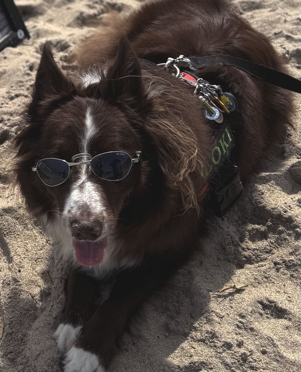 Happy Howie's Natural Dog Treats tweet media
