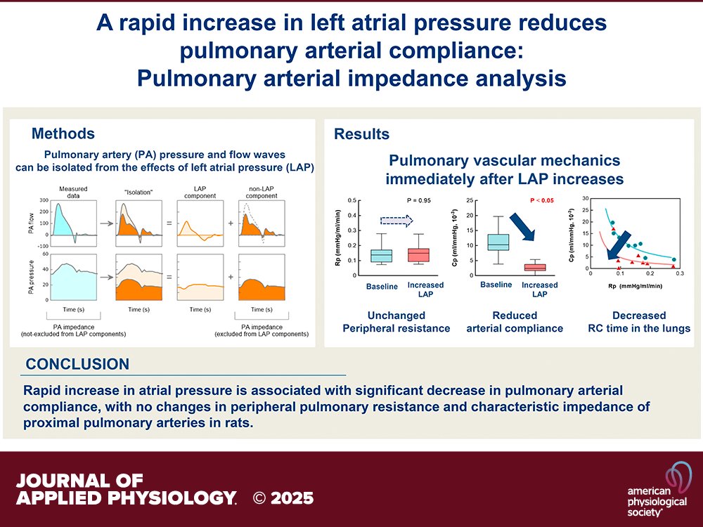 Research Article by M Fukumitsu et al. A rapid increase in left #atrialpressure reduces #pulmonaryarterial compliance in rats: insights from pulmonary arterial impedance analysis
ow.ly/1xOy50WzF7h