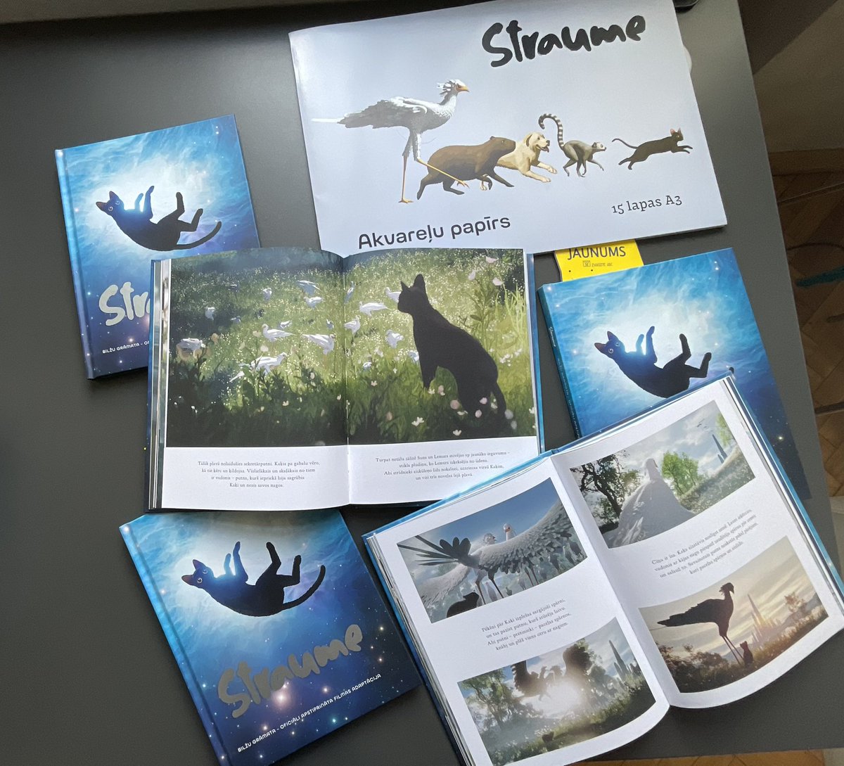 STRAUME ir klāt! Skaista grāmata un aizraujošs stāsts! Padalieties ar šo ierakstu, lūdzu, jo FB mani ir bloķējis.