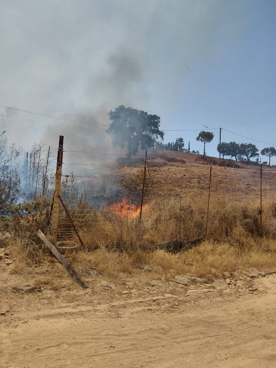 Plan_INFOCA's tweet photo. 📆 21/08/2025     🕜 14.52 h.

🔴 ACTIVO | Incendio en #Calañas, #Huelva.
#IFCalañas, en paraje "Embalse Tellerán".

MEDIOS:
🛩️ 1 carga en tierra
👩‍🚒 1 grupo de bomberos forestales, 1 #TOP, 1 #AAMM
🚒 1 autobomba https://t.co/7pWpsU3Jer