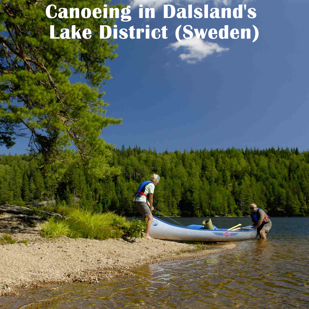 "This trip was great fun, offered a new challenge and was excellent value for money. We really loved the wild camping opportunities and the level of peace and quiet we experienced." Andrea, Canoeing in Dalsland's Lake District, August 2025🚣‍♀️🏕️

naturetravels.co.uk/water-canoe-to…
