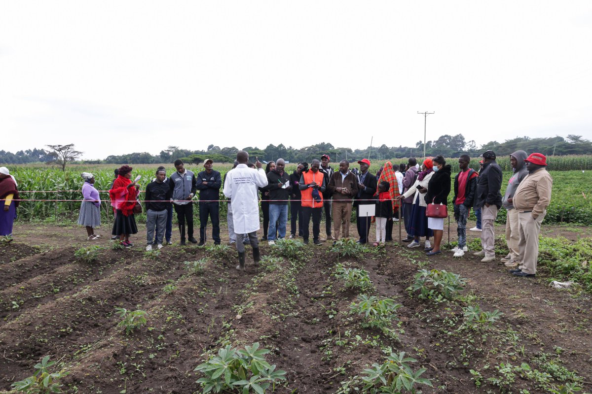 Farmers continue to visit the TAGDev Model Farm during the #KNRF2025, with over 250 farmers already trained in  good agricultural practices &amp; climate smart technologies  equipping farmers with practical knowledge to boost productivity and build resilient agri-food systems.