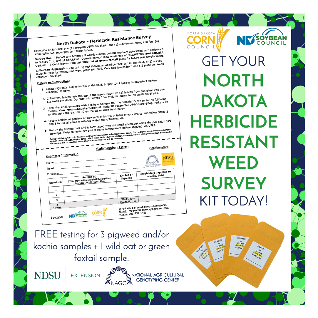 nagclab's tweet photo. ND Herbicide Resistant Weed Survey kits can be picked up at your local extension office or grab a submission form from our website. Research is underway for green foxtail and wild oat too! #NAGCLab #WeHaveATestForThat #HerbicideResistance #Kochia @ndcorn @NDSoybean @NDSUExtension https://t.co/Qh1JVAcVrf