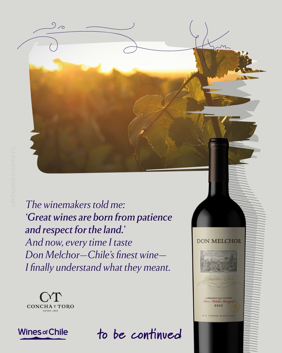DrinkChile's tweet photo. From Maipo Alto, Viña Concha y Toro crafts world-class wines rooted in over 140 years of heritage. 
Discover the elegance of Chile’s Cabernet Sauvignon in every glass. 

#UntamedJourneys #ChileanWine https://t.co/NSiiIe9ePE