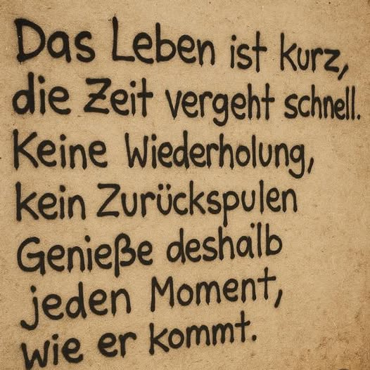 sigrid_seeger tweet picture