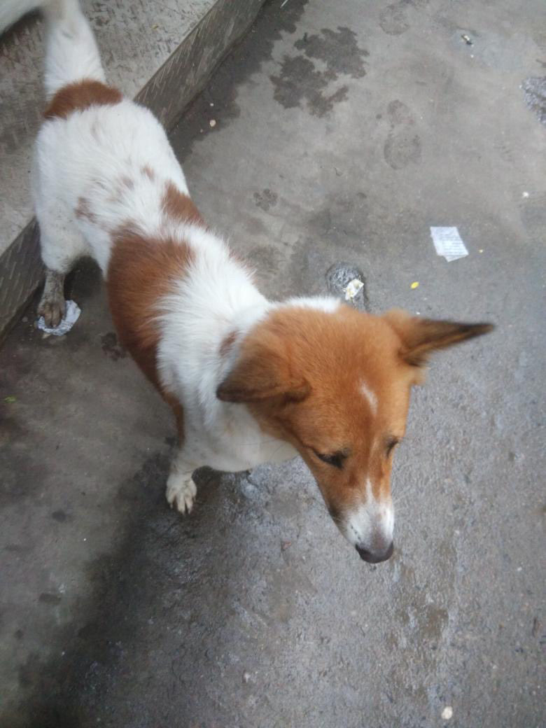 Linda Lou - 🇺🇸 🏴‍☠️🏴‍☠️ tweet media