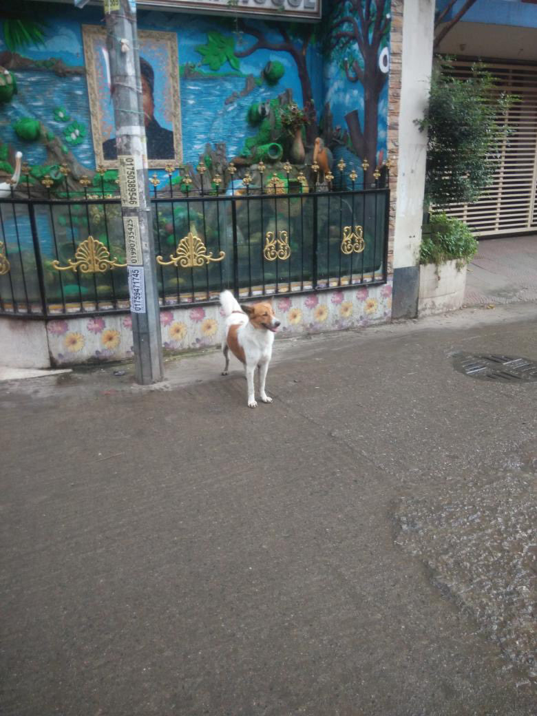 Linda Lou - 🇺🇸 🏴‍☠️🏴‍☠️ tweet media