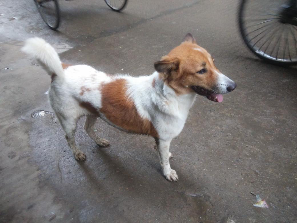 Linda Lou - 🇺🇸 🏴‍☠️🏴‍☠️ tweet media