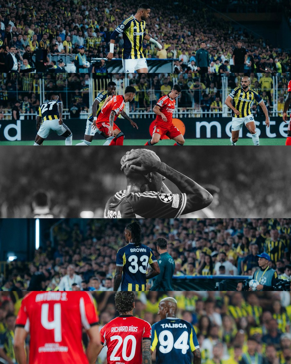 Fotografei minha primeira Champions League 🌟🙏🏽

<a href="/Fenerbahce/">Fenerbahçe SK</a> X <a href="/SLBenfica/">SL Benfica</a>