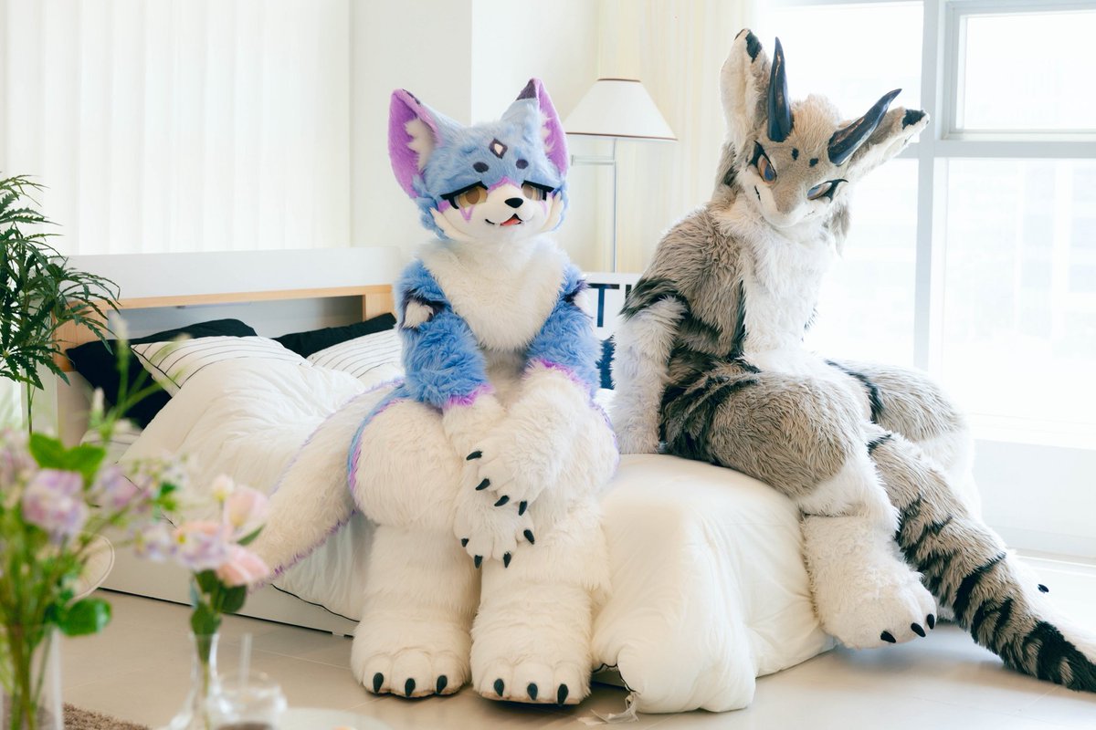 #FursuitEveryday 
잘잤어?

🩶 : <a href="/sata9759/">하노 / HANO</a>