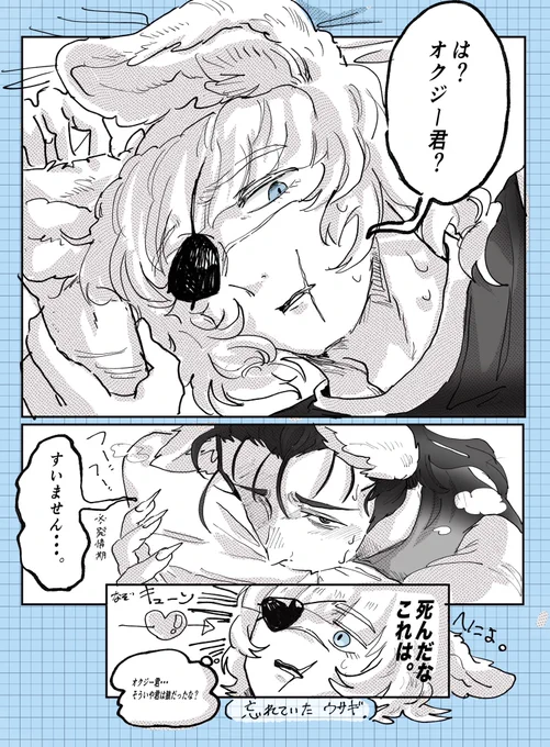 オクバデ
続:狼オクジー君×兎バデーニさん🐺🐰
バニーの日🐰😌 