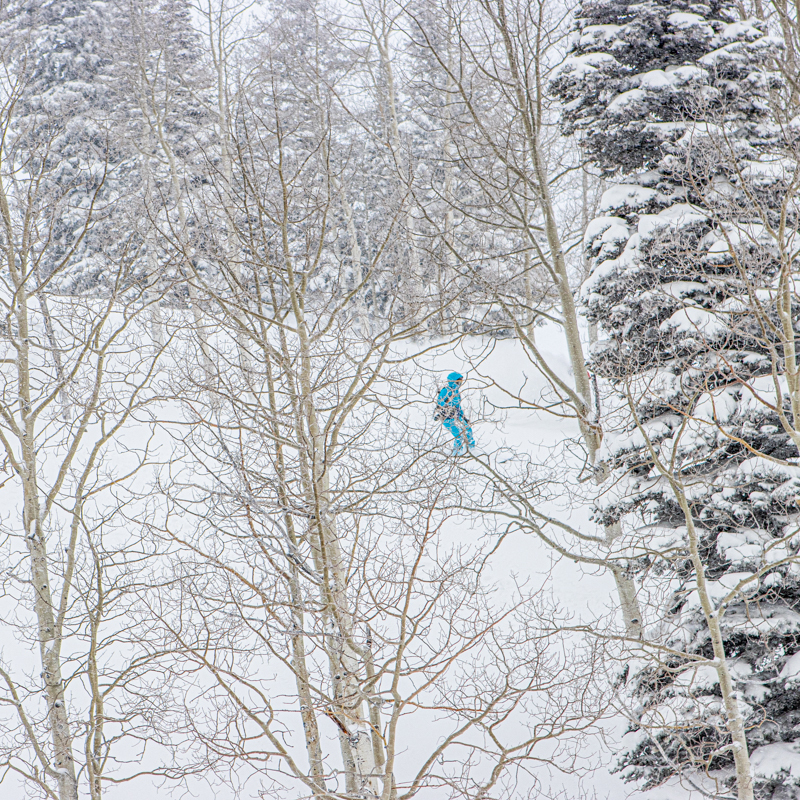 skithebeav's tweet photo. ❄️🌲 Snow falling softly. Trees standing still.
 Gliding through untouched powder at Beaver Mountain feels like skiing inside a dream. 🏔️✨

#SkiTheBeav #BeaverMountain #PowderPeace #TreeRunMagic #UtahSkiing https://t.co/OOMq2FfKDj