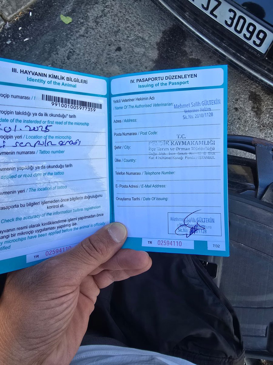 Kediler eşyaları ve karnesiyle çöpün yanına bırakabileceğiniz eşyalar değildir!