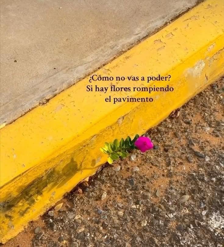 El que quiere puede, siempre puede.