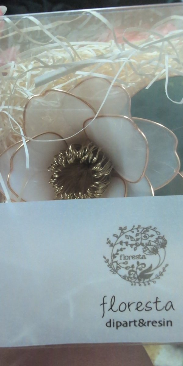 ふろれす もか様のプレゼント企画で当選した白椿のコーム届いた⸜(*ˊᗜˋ*)⸝
大切にする‼️