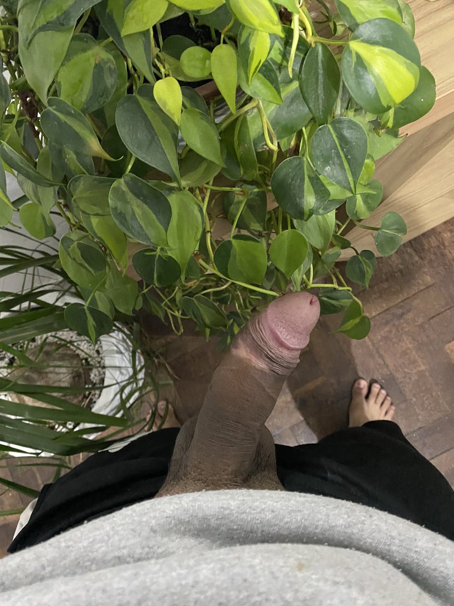 BARBEIRO NATURISTA DOMICILIAR CWB (36K) tweet media