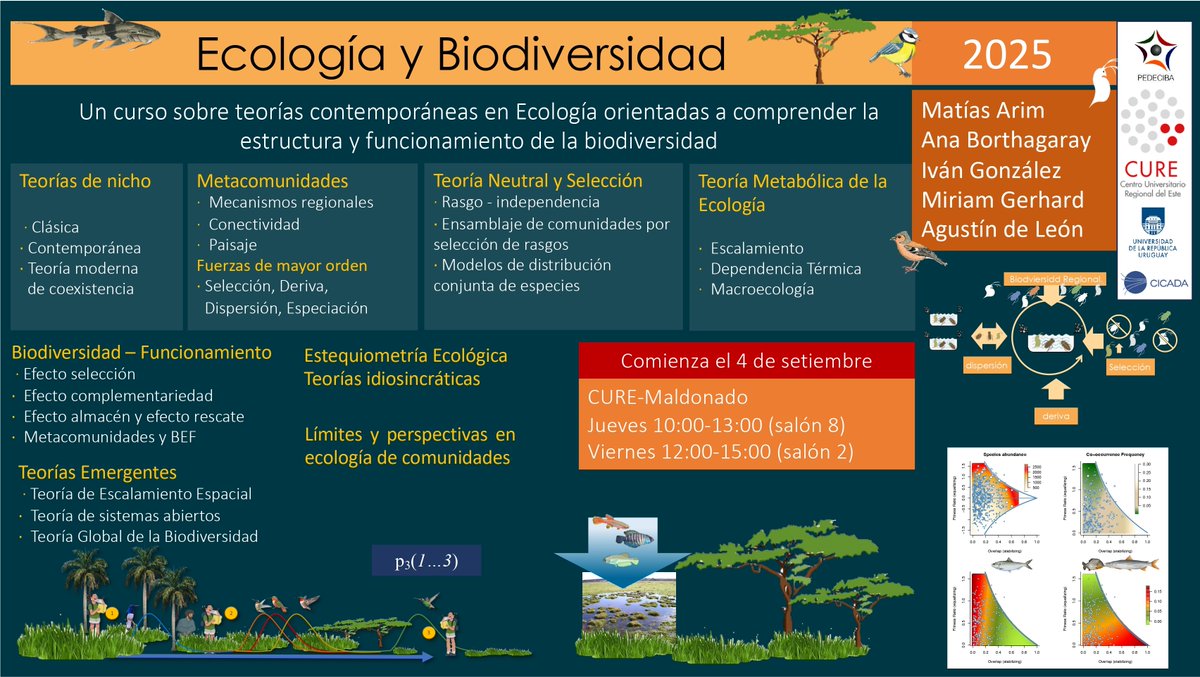 📢Abrieron las inscripciones para el curso "Ecología y Biodiversidad".

Comienza el 4 de setiembre y será en el CURE Maldonado.

👉Más información: cicada.uy/course/ecologi…

<a href="/CUREoficial/">CURE</a> <a href="/PEDECIBA/">PEDECIBA</a> <a href="/Udelaruy/">Universidad de la República</a>