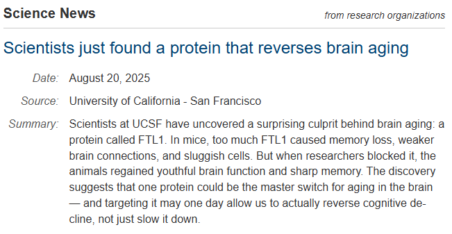 Scientists just found a protein that reverses brain aging. This is even bigger than you think.

Researchers have found a protein that appears to change everything – it rejuvenates the aging brain.

Lets have a look, i'll break it down. A 🧵