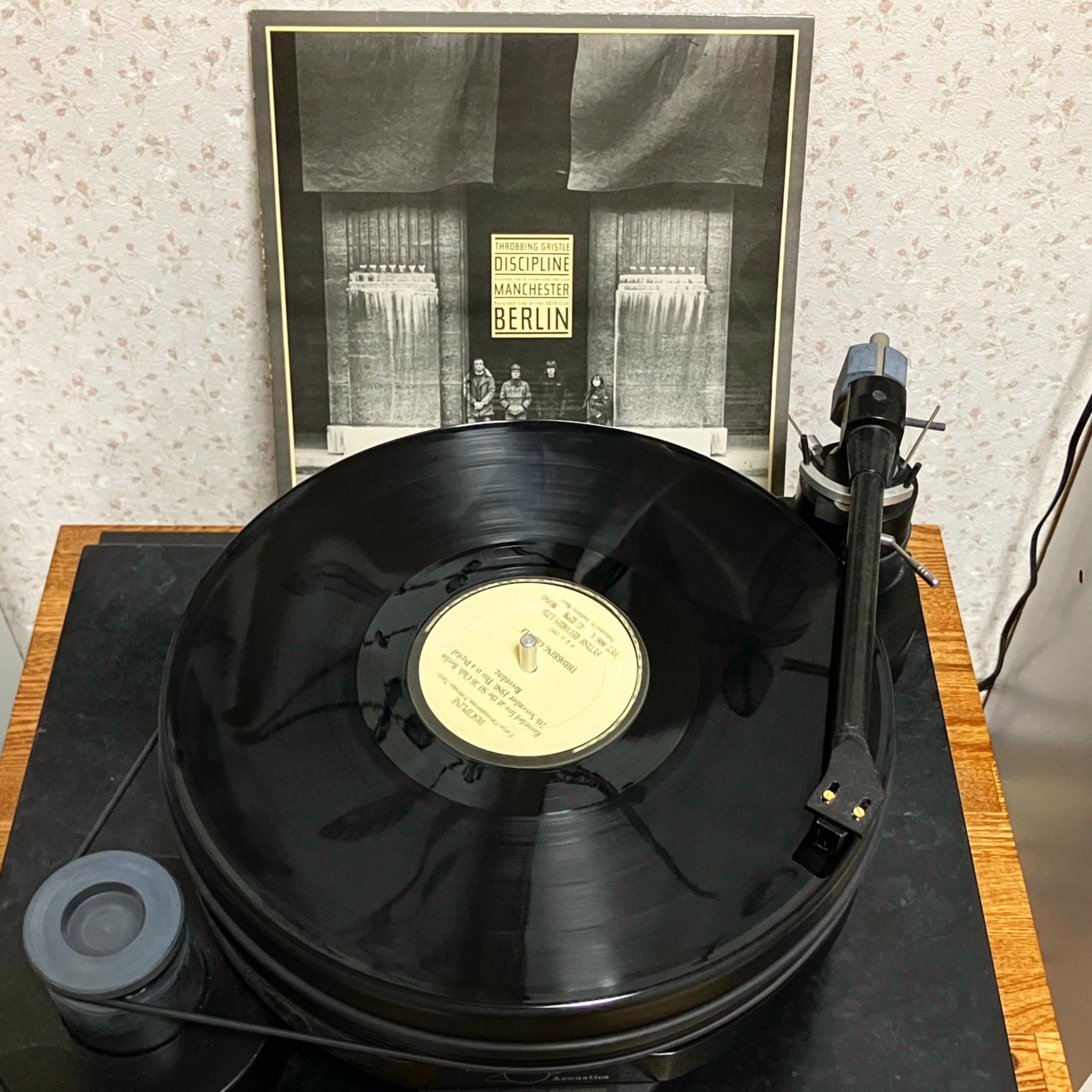 220ボルト 220VOLT Mind Over Muscle レコード PLACEBO (プレセボ) ショートボード 6'0''x20.25''x2.75