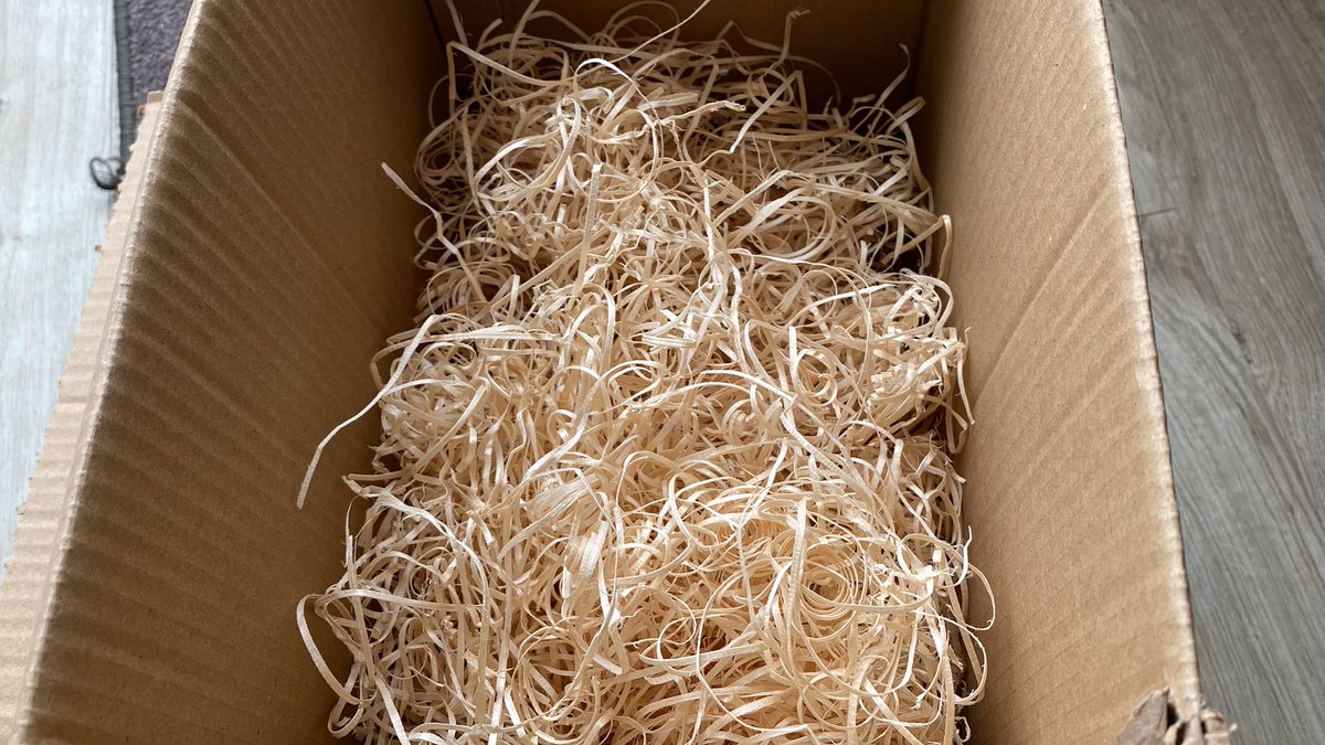 Alita_Warrior_99 ⚔️😇 tweet media