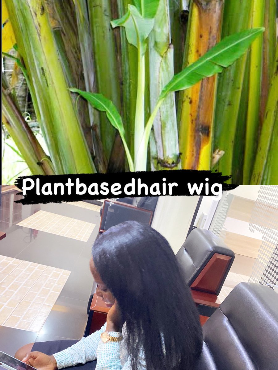 Amazing healthy alternative to accomplishing a healthy look. Hair made from banana fiber . A #sustainableinnovation that reflects our commitment to #eco-friendly alternatives.
Our braiding hair is made from #bananafiber, itch-free, non-toxic, and biodegradable. <a href="/SkilpackL63889/">Skilpack Ltd</a>