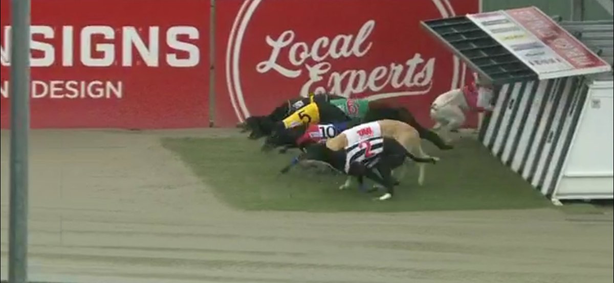 How to make money online 101 (without needing any experience) this is my 4 step guide!! 

1. Have betfair 
2. Have strong connections with nz trainers 
3. Pay to load dog in backwards
4.lay the fucker and make money!💰 money for jam lads