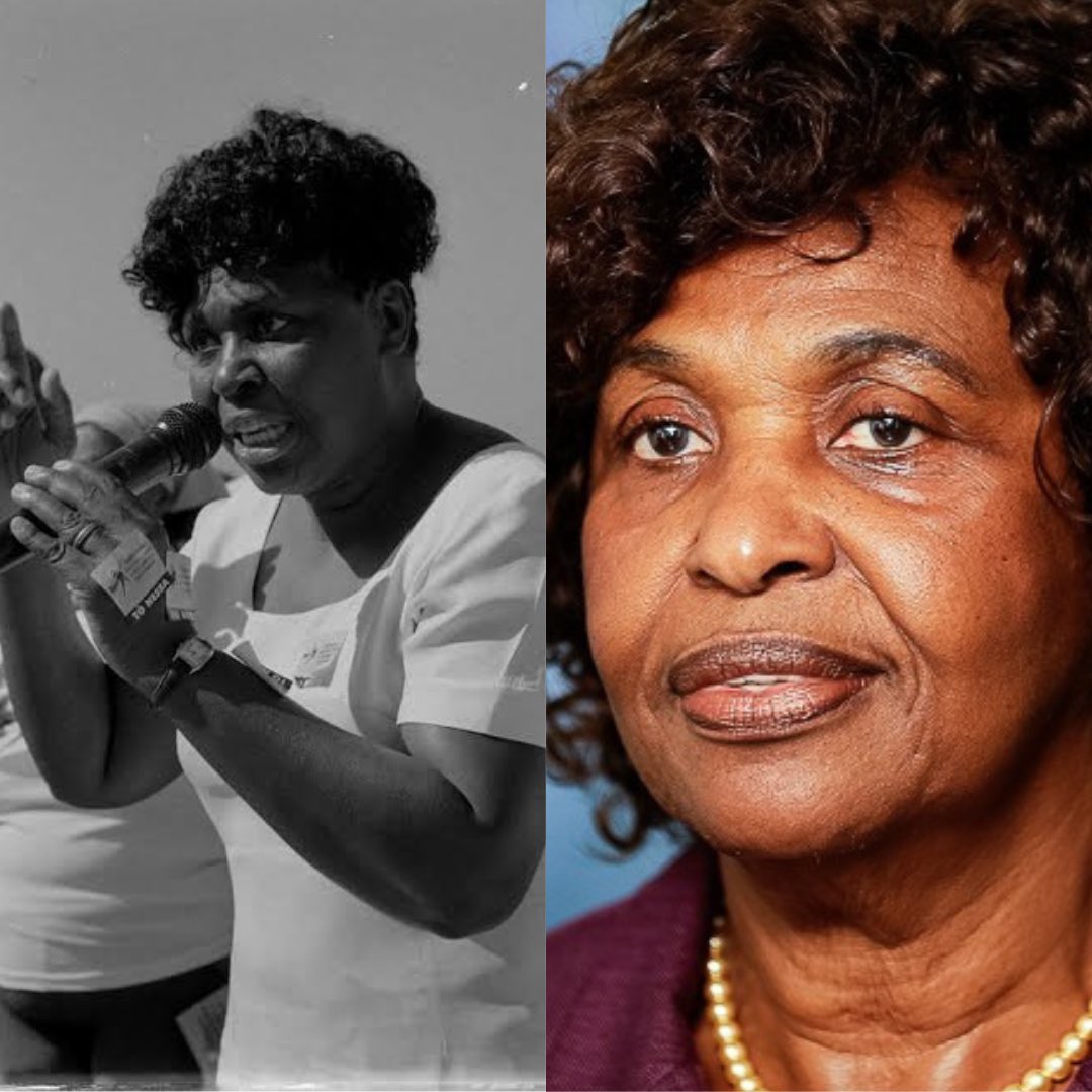 Marcha das Mulheres Negras 2025 tweet media