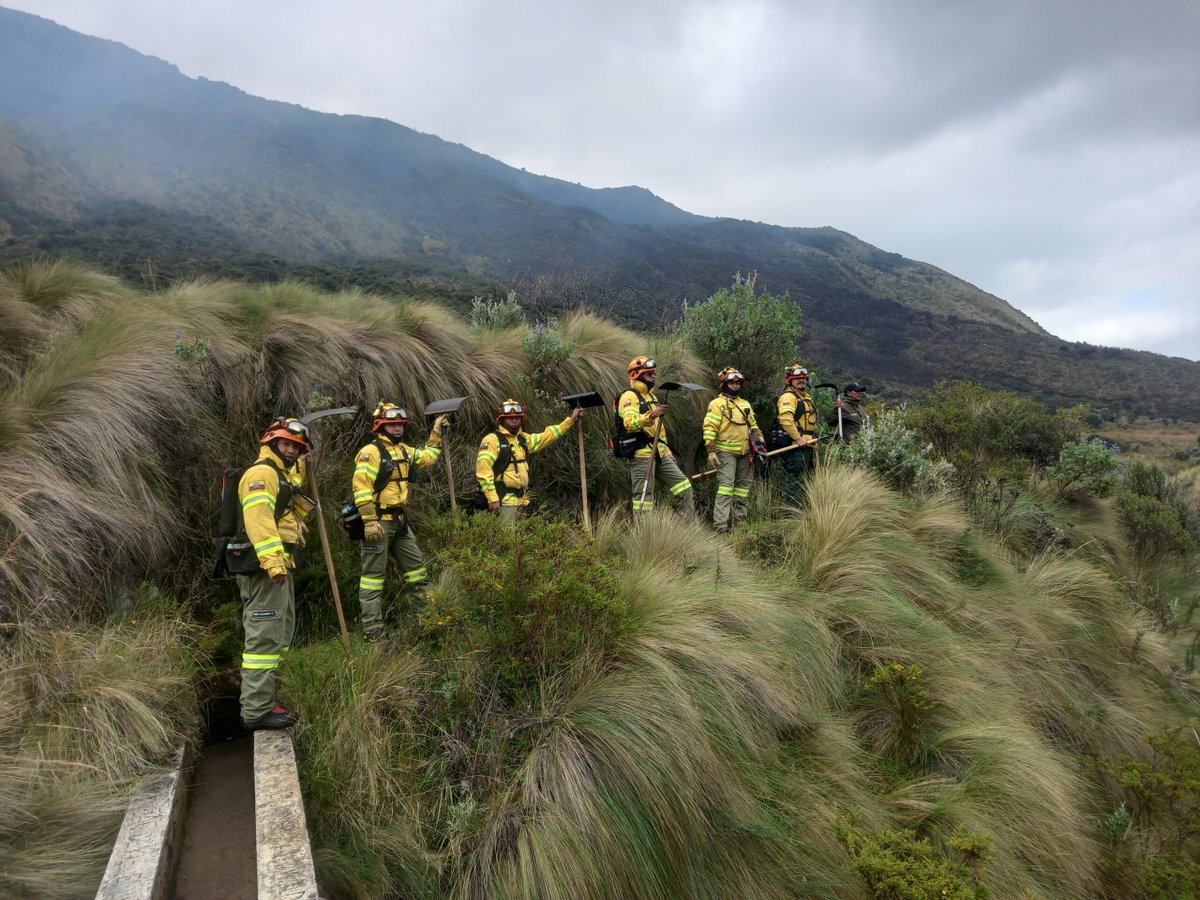 Mongabay Latam tweet media