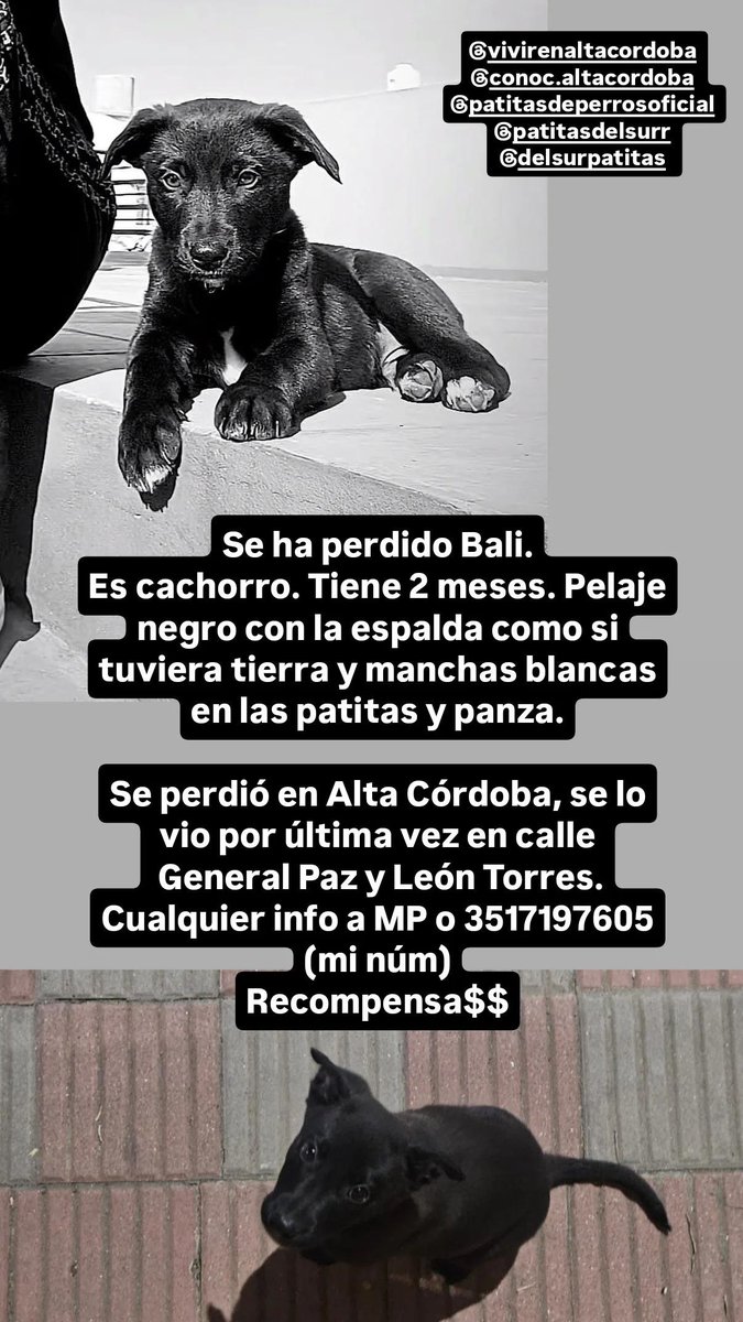 MattHouse101 tweet media