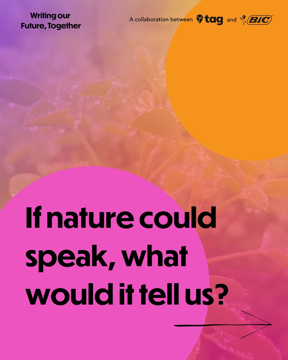 TakeActionEdu's tweet photo. Give nature a voice in your classroom!📷Our FREE, 1-hour "Nature Speaks" lesson plan makes climate education engaging for K-12. Swipe to explore. Download your copy: https://t.co/F5xFsmitAg
#ClimateEducation #TeacherResources #BackToSchool #FreeLessonPlan @BICGroup https://t.co/0dlCjqUKUi