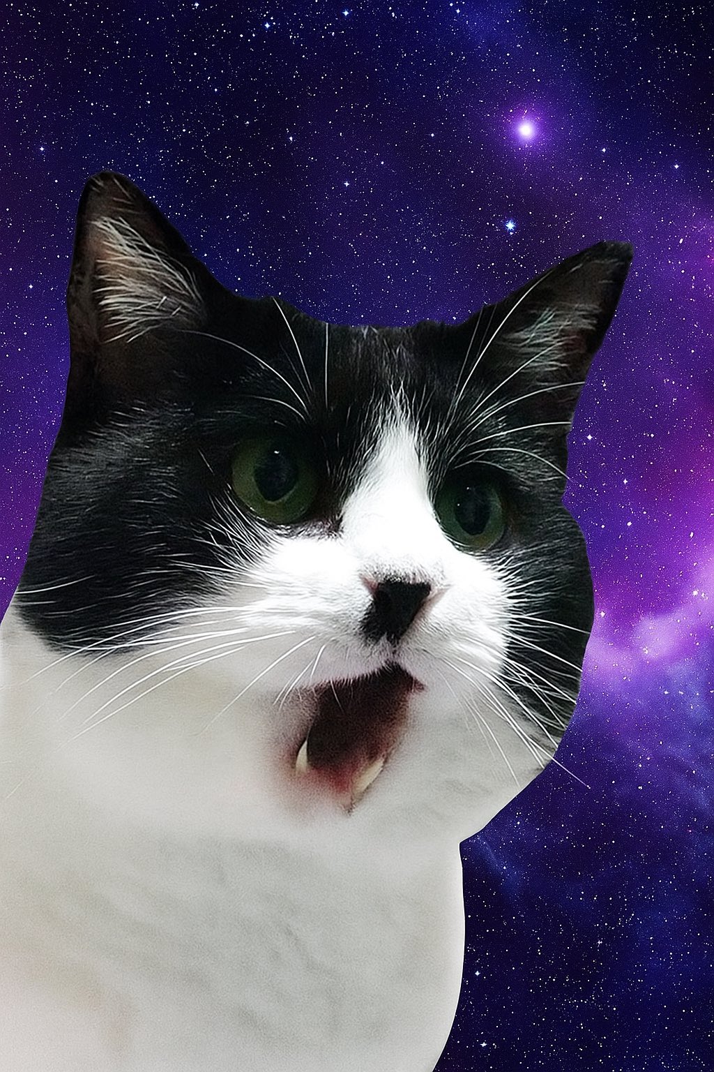 猫まっしぐら 猫まっしぐらセレクト】 猫の置物-リラックス|猫グッズ・猫雑貨