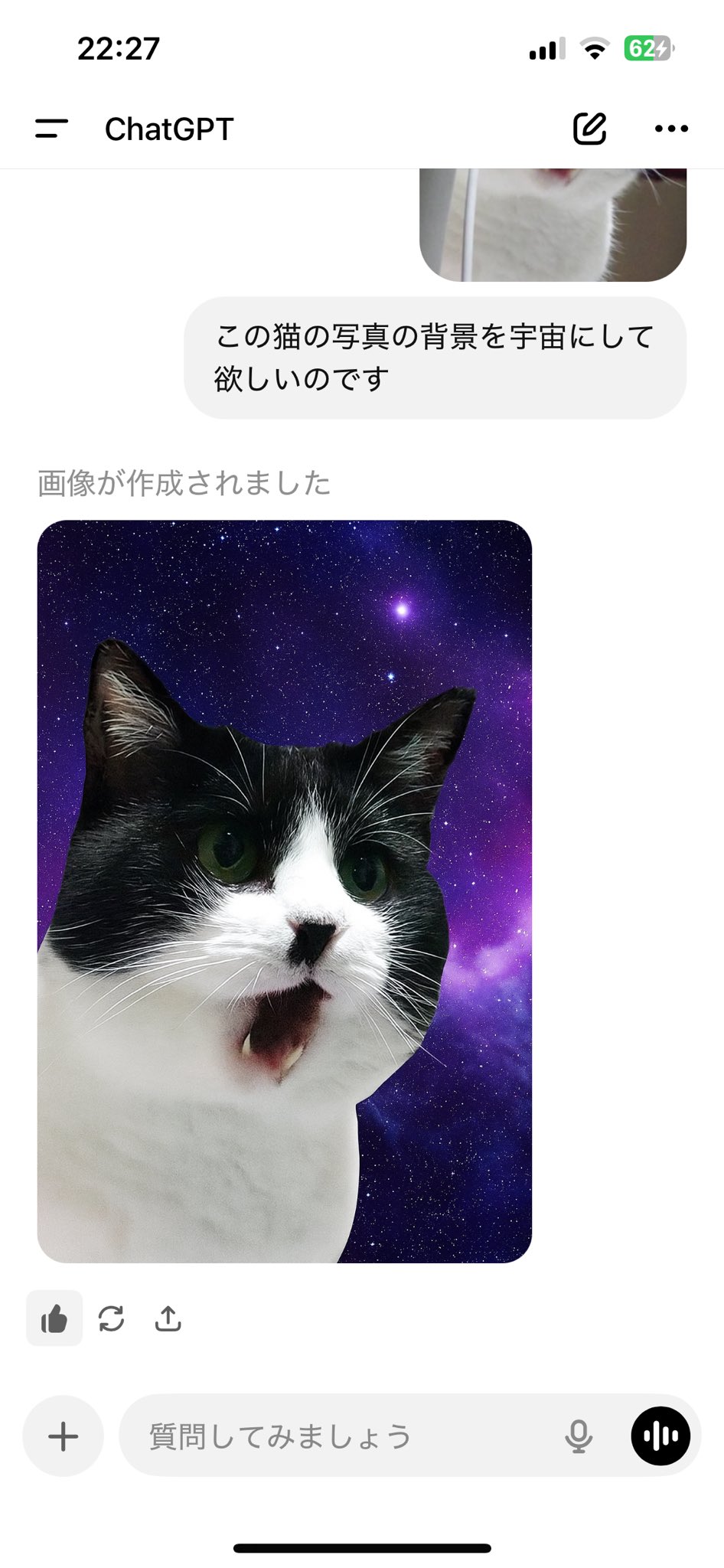 猫まっしぐら on X: 