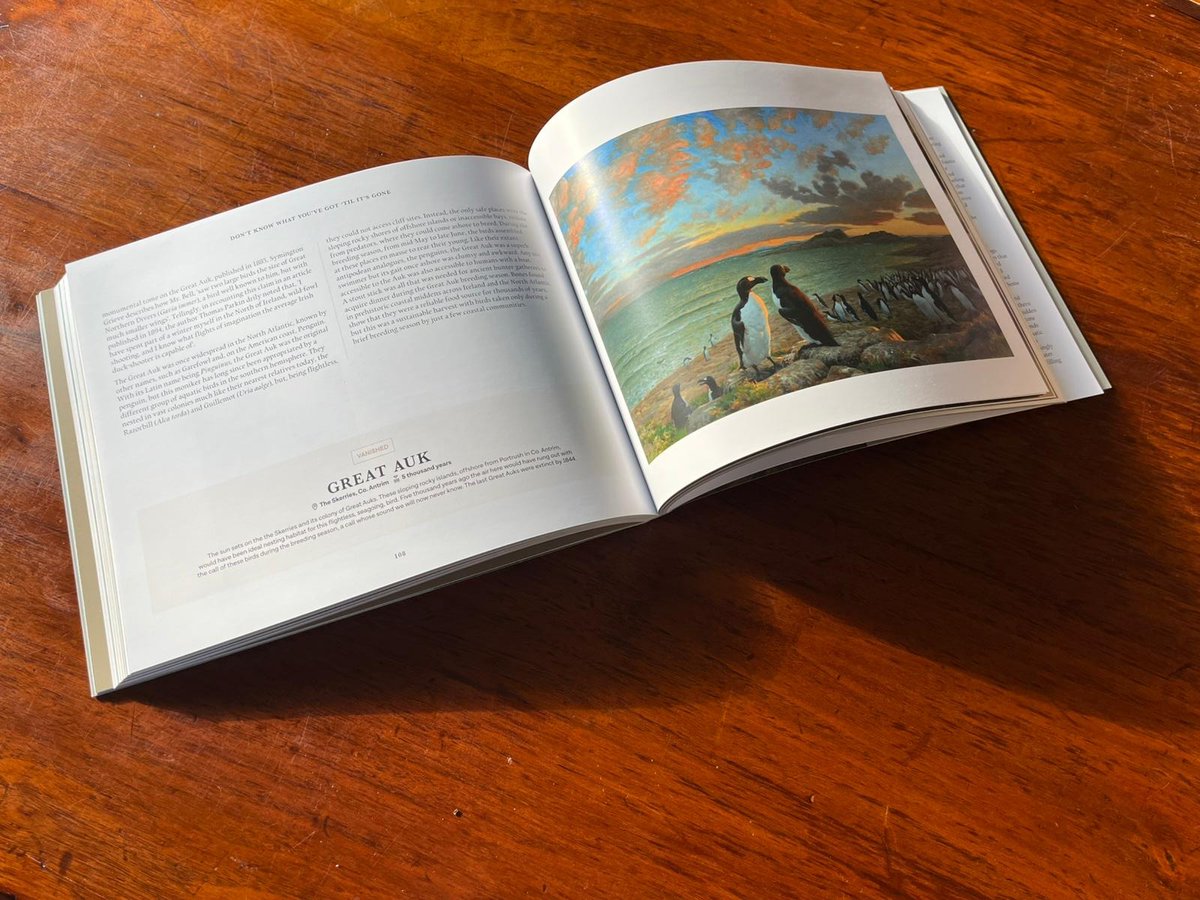 Julian Friers tweet media