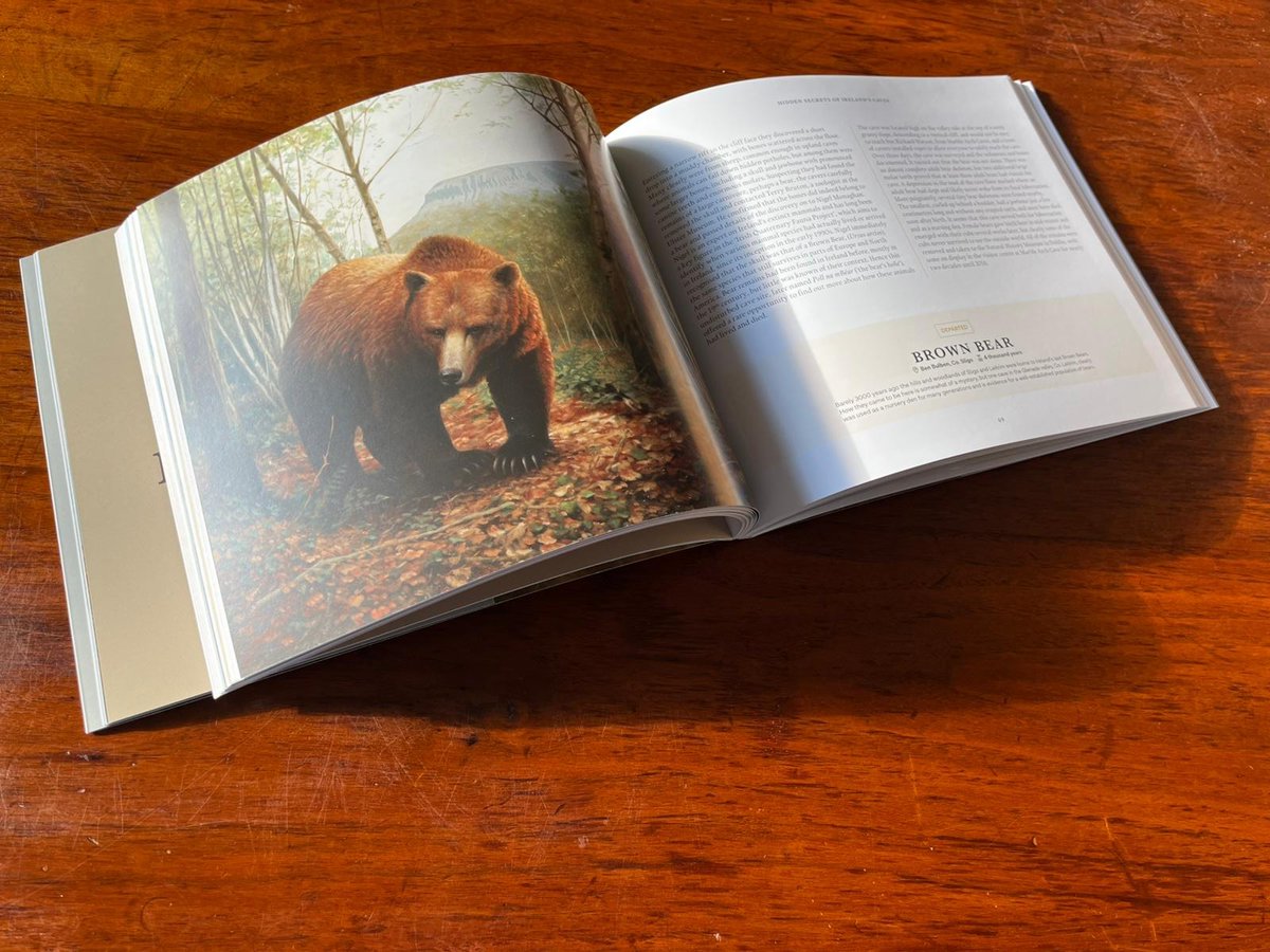 Julian Friers tweet media